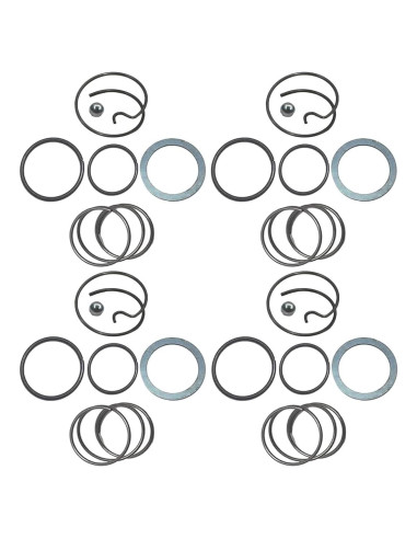 Kit de Resortes y Bolas de Acero Ruchang N078434 N089668