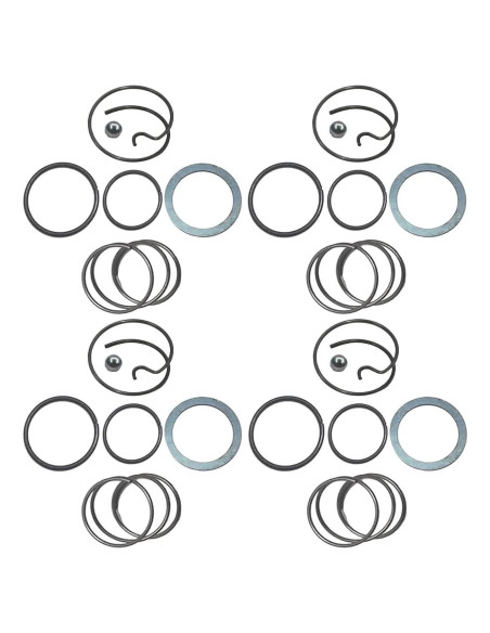 Kit de Resortes y Bolas de Acero Ruchang N078434 N089668