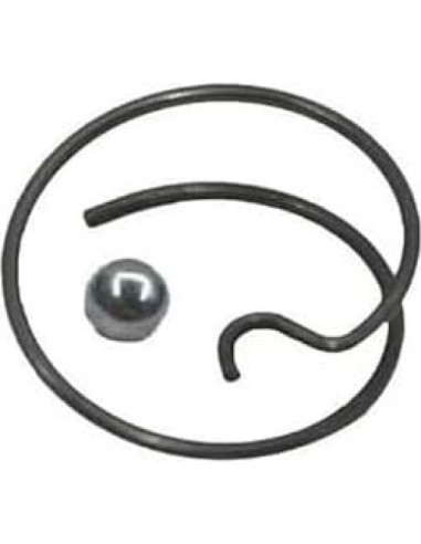 Kit de Resortes y Bolas de Acero Ruchang N078434 N089668