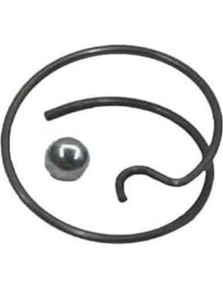 Kit de Resortes y Bolas de Acero Ruchang N078434 N089668
