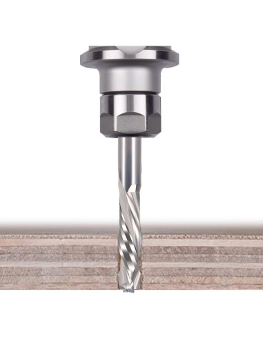 Bit de Router HOZLY 1/8" Carburo Compresión 2PCS