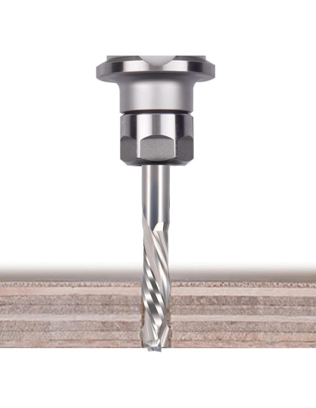 Bit de Router HOZLY 1/8" Carburo Compresión 2PCS