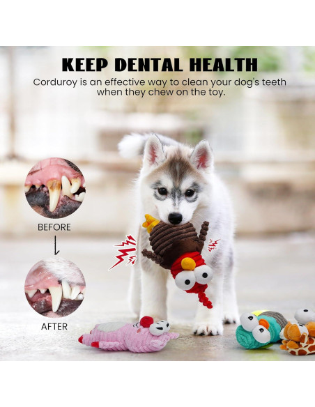 Juguetes para Perros Nocciola 5 Animales Squeaky Duraderos