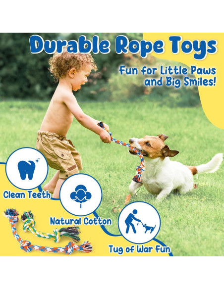 Juego de 9 Juguetes Interactivos KIPRITII para Cachorros