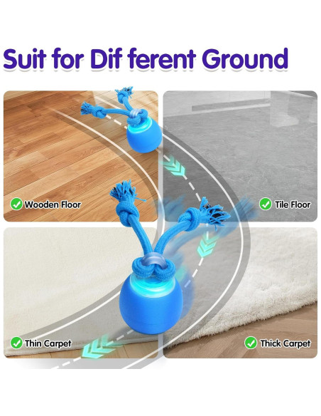 Bola Interactiva para Perros LEPLE LP51 Recargable Azul