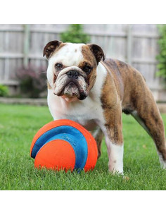 Pelota Chuckit! Kick Fetch Grande - Flota y Rebota - Para Perros 2