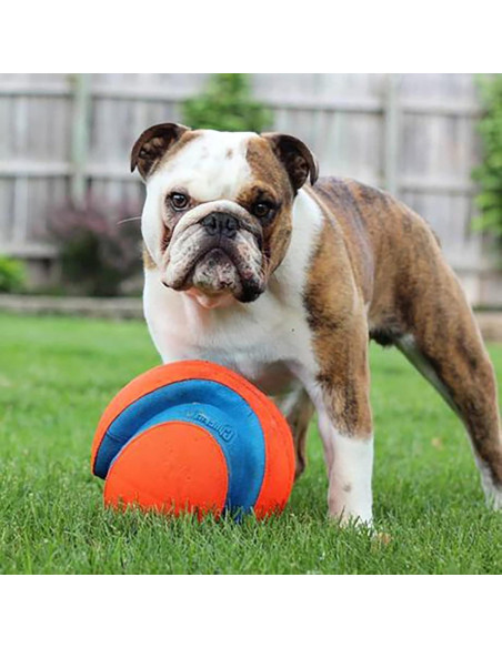 Pelota Chuckit! Kick Fetch Grande - Flota y Rebota - Para Perros