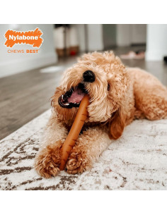 Juguete para Masticar Nylabone Baguette Grande Sabor Pollo 2