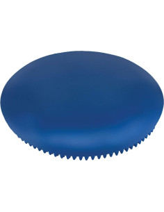 Disco de Ejercicio Champion Sports 35.56 cm Vinilo Azul 2