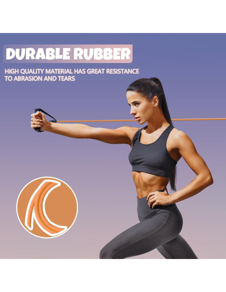 Banda de Resistencia RitFit 30-35LBS con Mangos y Ancla