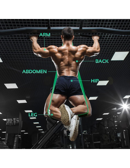 Bandas de Asistencia para Dominadas TheFitLife - 4 Niveles