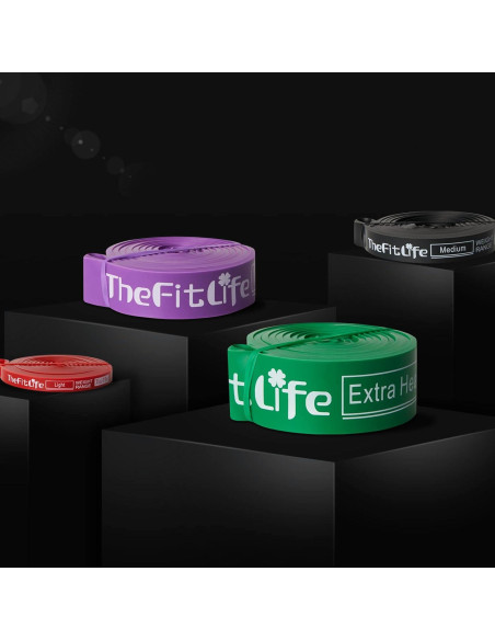 Bandas de Asistencia para Dominadas TheFitLife - 4 Niveles