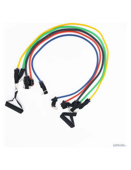 Bandas de Tono de Resistencia CRITICAL BENCH.COM - 5 Niveles