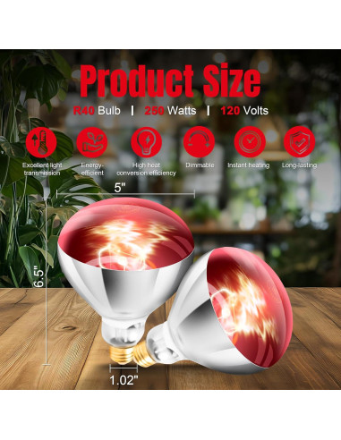 Bombillas de Calor Infrarrojo R40 ZENHAGU 250W Rojo 4 Unidades