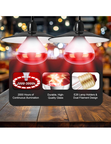 Bombillas de Calor Infrarrojo R40 ZENHAGU 250W Rojo 4 Unidades