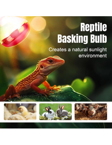 Bombillas de Calor Infrarrojo R40 ZENHAGU 250W Rojo 4 Unidades