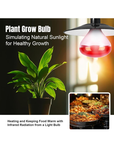 Bombillas de Calor Infrarrojo R40 ZENHAGU 250W Rojo 4 Unidades