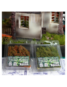 Cayway 2 Paquete Arbustos Miniatura Ecológicos 10cm Verde y Rojo