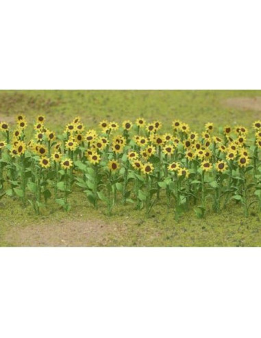 Plantas Florales JTT Girasoles 16 Piezas 2.54 cm