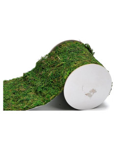 Rollo de Musgo Verde Natural Byher 10x120cm para Decoración