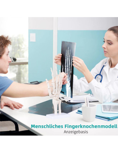 Modelo de Mano Esquelética Humana LVCHEN 25cm Articulada