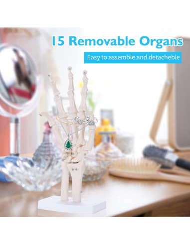 Modelo Esqueleto Mano ANNWAH PVC Anatomía 1:1 para Enseñanza