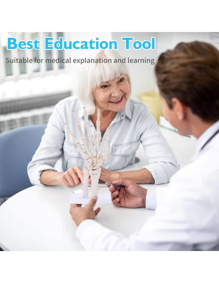 Modelo Esqueleto Mano ANNWAH PVC Anatomía 1:1 para Enseñanza