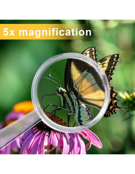 BILLIOTEAM Set de 40 Lentes de Aumento Acrílico 5X Mini