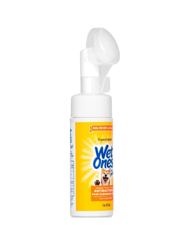 Wet Ones Limpiador Antibacteriano para Patas de Perro 150 ml