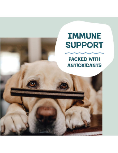 Palitos Dentales Shameless Pets 8 Unidades para Perros