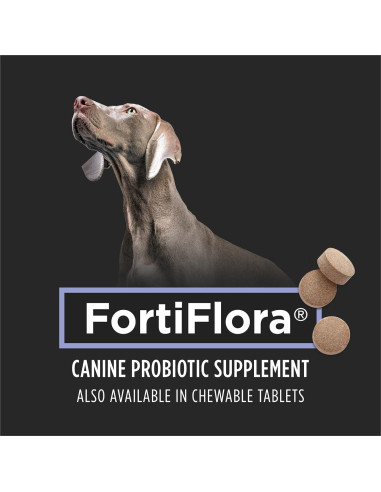 Suplemento Probiotico FortiFlora Purina 30 Sobres para Perros