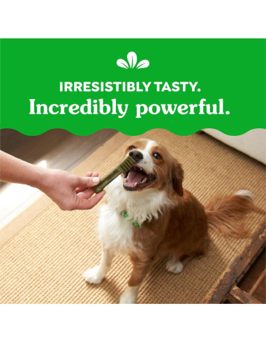 Golosinas Dentales Greenies Original para Perros 1,02 kg