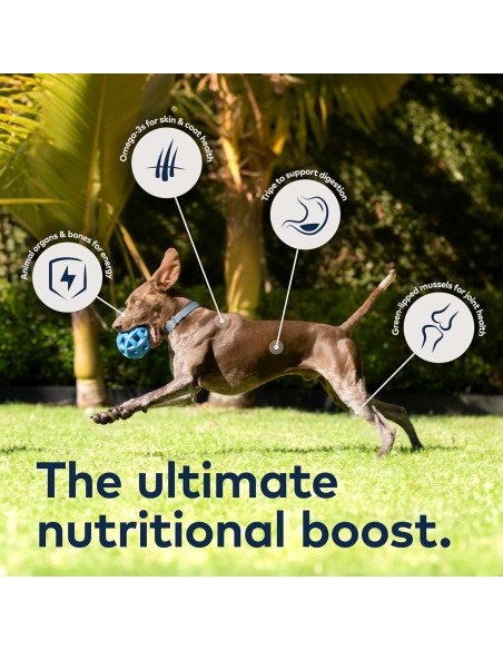 ZIWI Peak Comida Deshidratada para Perros Carne de Res 450g