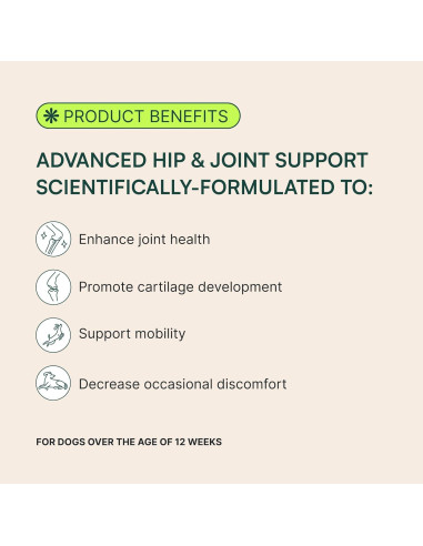 Suplemento Articular Wuffes para Perros Pequeños 60 Masticables