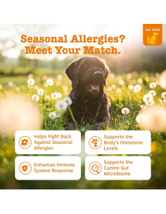 Zesty Paws Alivio Alergias Perros 90 Masticables Mantequilla 2