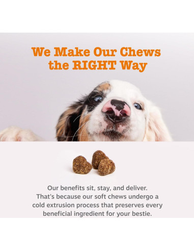 Zesty Paws Alivio Alergias Perros 90 Masticables Mantequilla