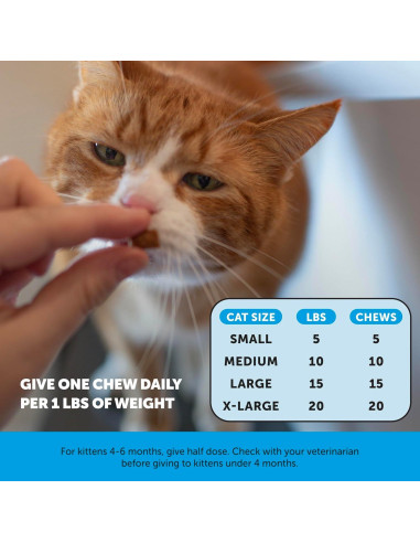 Suplemento para Gatos Pet Honesty Piel y Pelaje Pollo 30 días