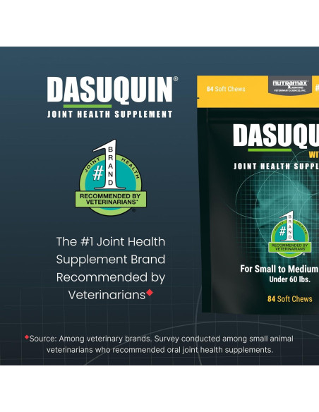 Nutramax Dasuquin MSM Suplemento Articular Perros 84 Chews
