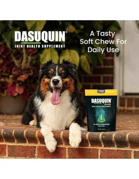 Nutramax Dasuquin MSM Suplemento Articular Perros 84 Chews