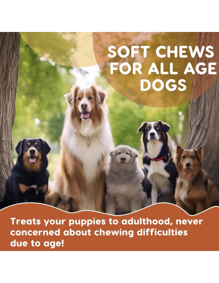 Probioticos para Perros ZEBORA 120 Golosinas Salud Digestiva