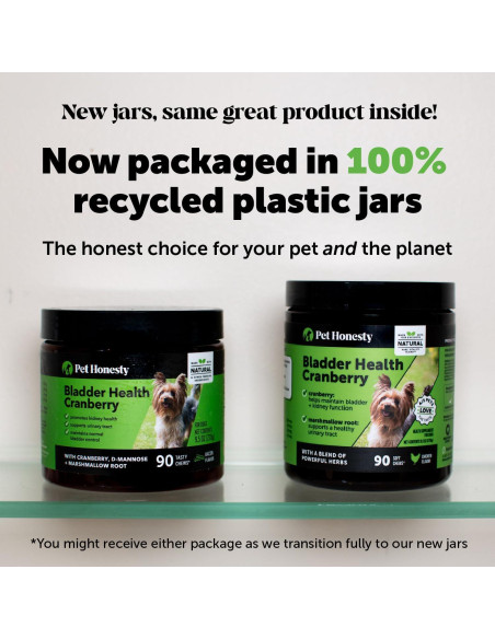 Suplemento para Perros Pet Honesty Vejiga Arándano 270g