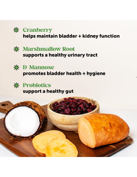 Suplemento para Perros Pet Honesty Vejiga Arándano 270g