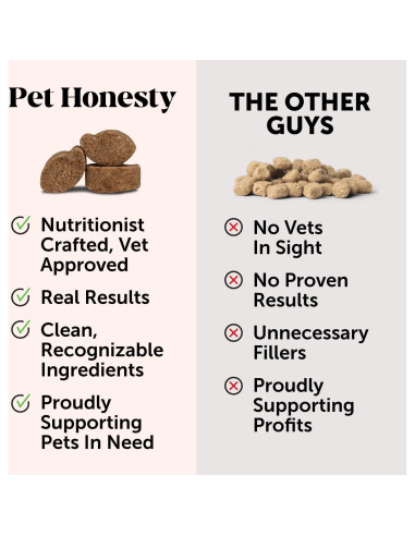 Suplemento para Perros Pet Honesty Vejiga Arándano 270g