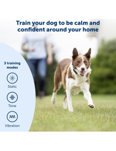 Collar de Entrenamiento Remoto PetSafe 100 Yardas para Perros 2