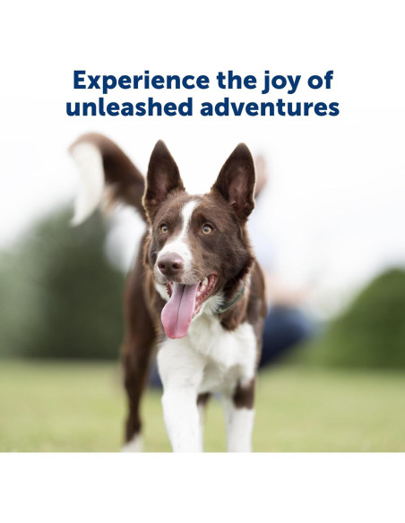 Collar de Entrenamiento Remoto PetSafe 100 Yardas para Perros