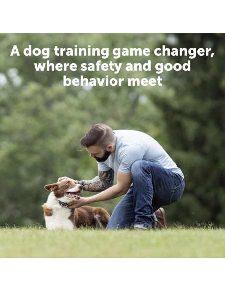 Collar de Entrenamiento Remoto PetSafe 100 Yardas para Perros
