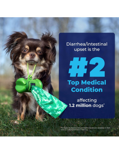 Glandex Vetnique Suplemento Digestivo para Perros 60 Ct