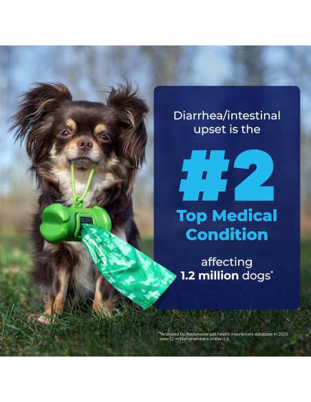 Glandex Vetnique Suplemento Digestivo para Perros 60 Ct