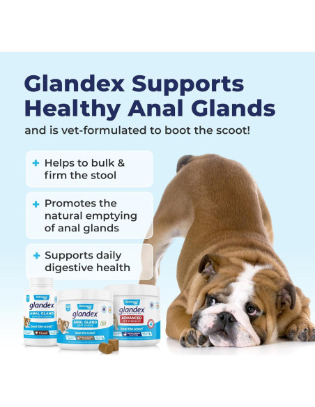 Glandex Vetnique Suplemento Digestivo para Perros 60 Ct