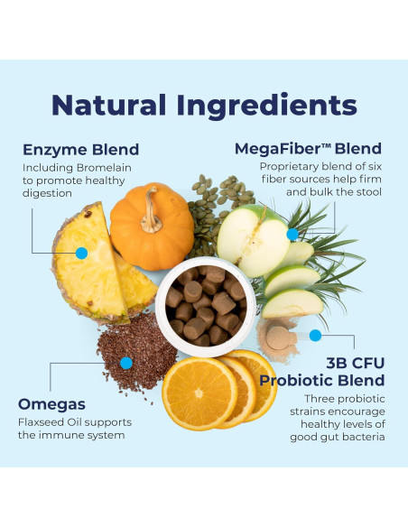 Glandex Vetnique Suplemento Digestivo para Perros 60 Ct